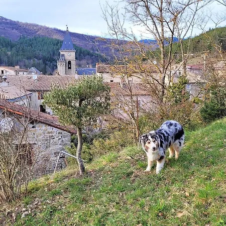 Maison Pierres Bois Feuilles * Alzon